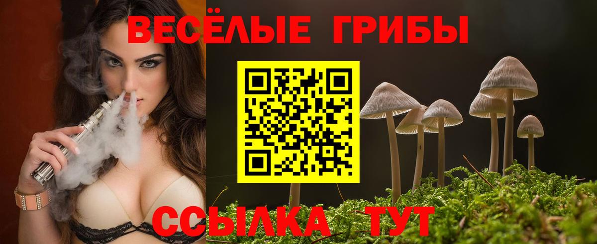 Галлюциногенные грибы Magic Shrooms  наркота  Сланцы  Вход с VPN 
